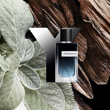 Yves Saint Laurent – Y Eau de Parfum